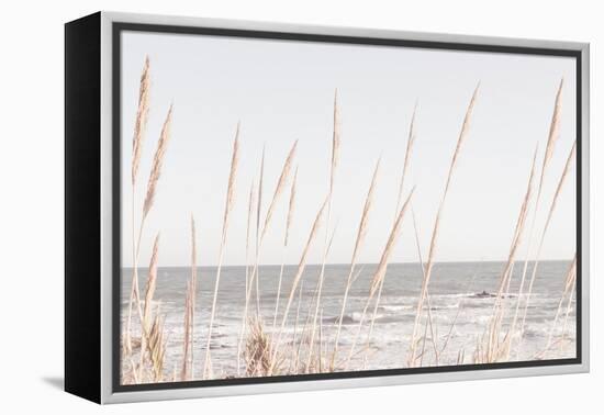 Beach_Vass_002-1x Studio III-Framed Premier Image Canvas