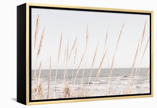 Beach_Vass_002-1x Studio III-Framed Premier Image Canvas