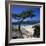 Beach View, Cala Rossa, South East Corsica, Corsica, France, Mediterranean, Europe-Stuart Black-Framed Photographic Print