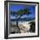 Beach View, Cala Rossa, South East Corsica, Corsica, France, Mediterranean, Europe-Stuart Black-Framed Photographic Print