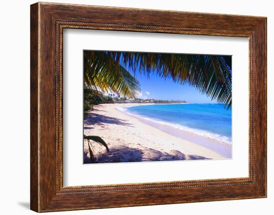 Beach View from Under a Palm Tree, Puerto Rico-George Oze-Framed Photographic Print