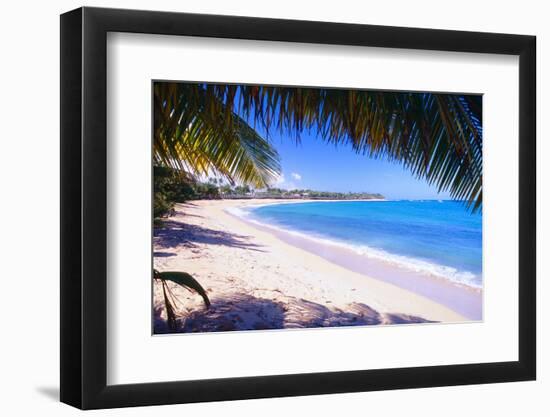 Beach View from Under a Palm Tree, Puerto Rico-George Oze-Framed Photographic Print