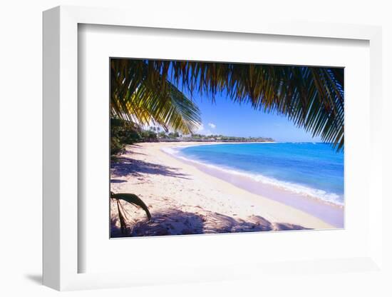 Beach View from Under a Palm Tree, Puerto Rico-George Oze-Framed Photographic Print