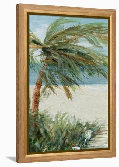 Beach Walk I-Carol Robinson-Framed Stretched Canvas