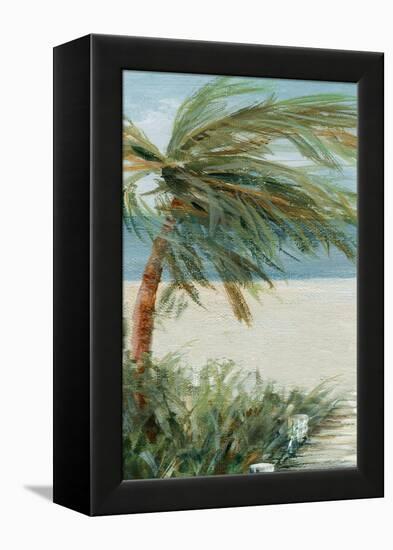 Beach Walk I-Carol Robinson-Framed Stretched Canvas