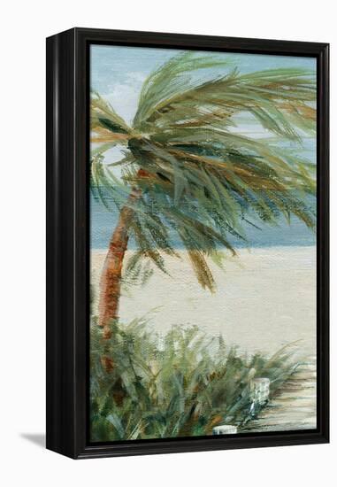 Beach Walk I-Carol Robinson-Framed Stretched Canvas