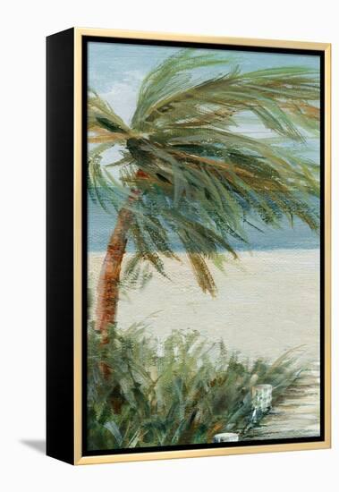 Beach Walk I-Carol Robinson-Framed Stretched Canvas