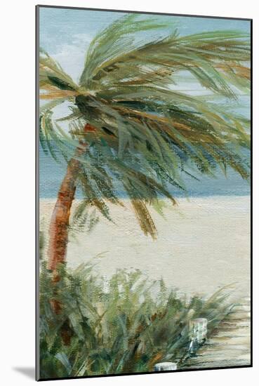 Beach Walk I-Carol Robinson-Mounted Art Print