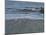 Beach Waver-Bruce Dumas-Mounted Giclee Print