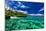 Beach with Coral Reef on South Side of Upolu, Samoa Islands-Martin Valigursky-Mounted Photographic Print