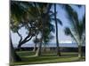 Beach with Cruise Ship off Shore, Kailua-Kona, Island of Hawaii (Big Island), USA-Ethel Davies-Mounted Photographic Print