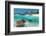 Beach With Green Turtle Mexico-null-Framed Premium Giclee Print