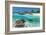 Beach With Green Turtle Mexico-null-Framed Art Print