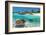 Beach With Green Turtle Mexico-null-Framed Art Print