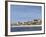 Beach with Palm Trees Along Coast in Bandol, Cote d'Azur, Var, France-Per Karlsson-Framed Photographic Print