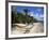 Beach with Palm Trees and Kayaks, Punta Soliman, Mayan Riviera, Yucatan Peninsula, Mexico-Nelly Boyd-Framed Photographic Print