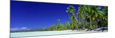 Photographic Print