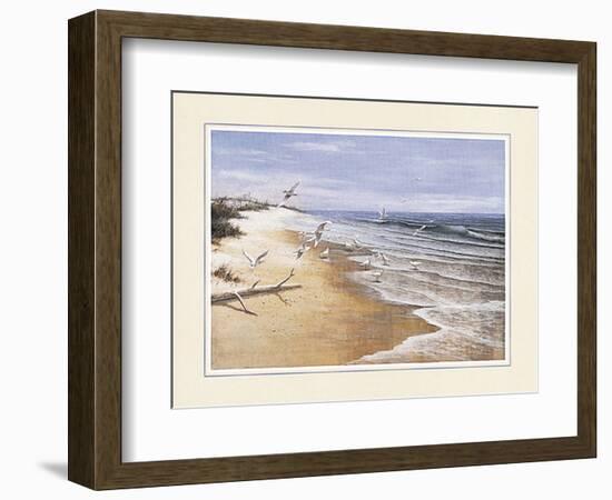 Beach with Seagulla-unknown Chiu-Framed Art Print