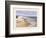 Beach with Seagulla-unknown Chiu-Framed Art Print