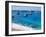 Beach-null-Framed Photographic Print