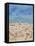 Beach-Judy Joel-Framed Premier Image Canvas