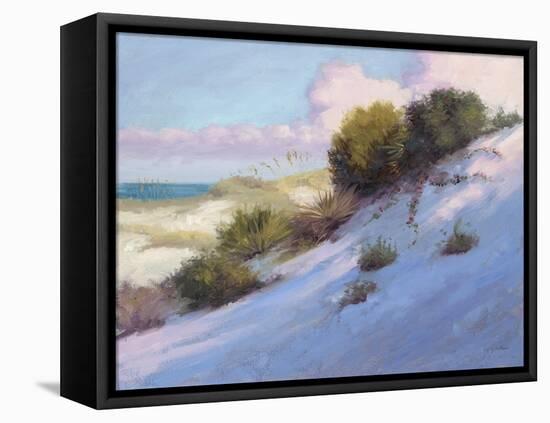 Beach-Jill Schultz McGannon-Framed Stretched Canvas