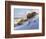 Beach-Jill Schultz McGannon-Framed Art Print