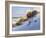 Beach-Jill Schultz McGannon-Framed Art Print