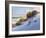 Beach-Jill Schultz McGannon-Framed Art Print