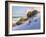 Beach-Jill Schultz McGannon-Framed Art Print