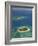 Beachcomber Island Resort and Treasure Island Resort, Mamanuca Islands, Fiji-David Wall-Framed Photographic Print