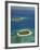 Beachcomber Island Resort and Treasure Island Resort, Mamanuca Islands, Fiji-David Wall-Framed Photographic Print