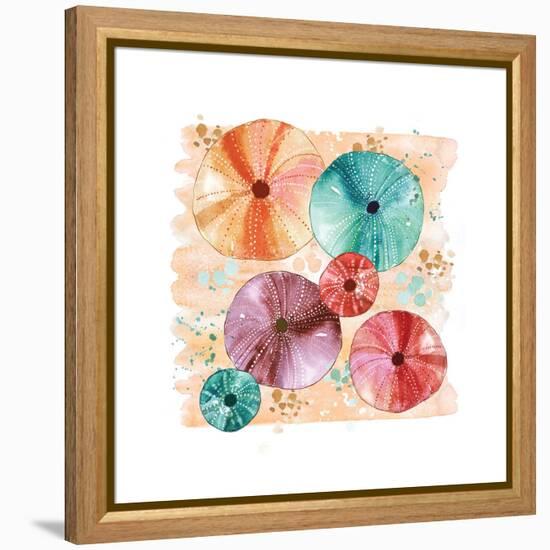 Beachcomber Sea Urchins-Sara Berrenson-Framed Stretched Canvas