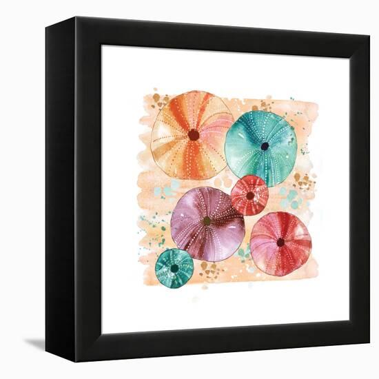 Beachcomber Sea Urchins-Sara Berrenson-Framed Stretched Canvas