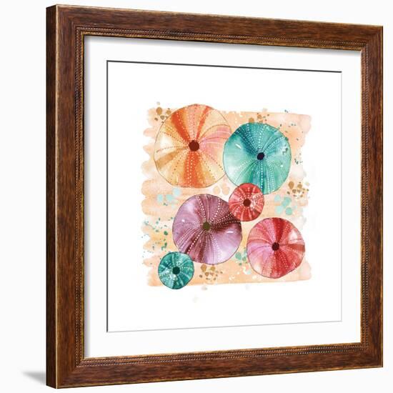 Beachcomber Sea Urchins-Sara Berrenson-Framed Art Print