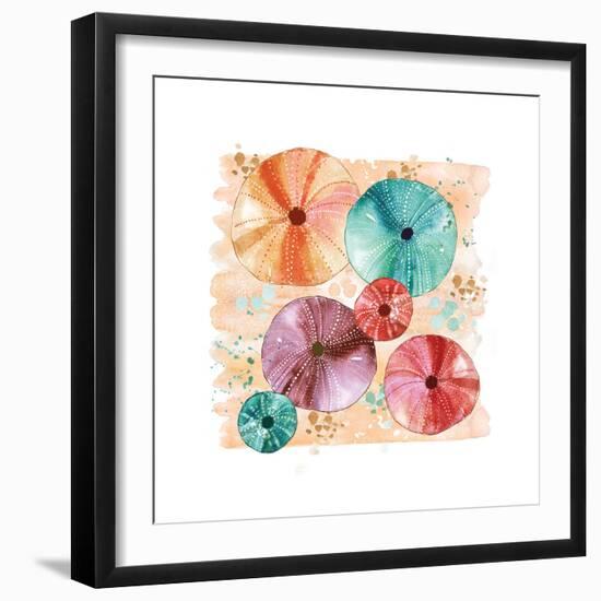 Beachcomber Sea Urchins-Sara Berrenson-Framed Art Print