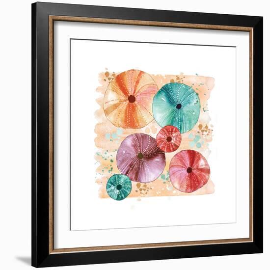 Beachcomber Sea Urchins-Sara Berrenson-Framed Art Print