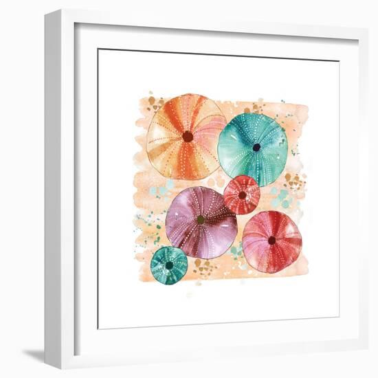 Beachcomber Sea Urchins-Sara Berrenson-Framed Art Print