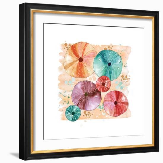 Beachcomber Sea Urchins-Sara Berrenson-Framed Art Print