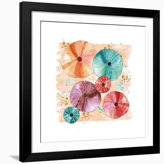 Beachcomber Sea Urchins-Sara Berrenson-Framed Art Print