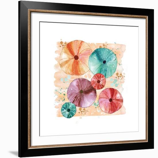 Beachcomber Sea Urchins-Sara Berrenson-Framed Art Print