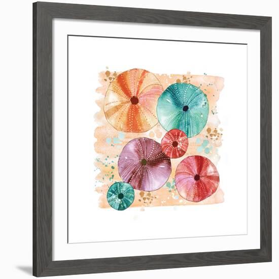 Beachcomber Sea Urchins-Sara Berrenson-Framed Art Print