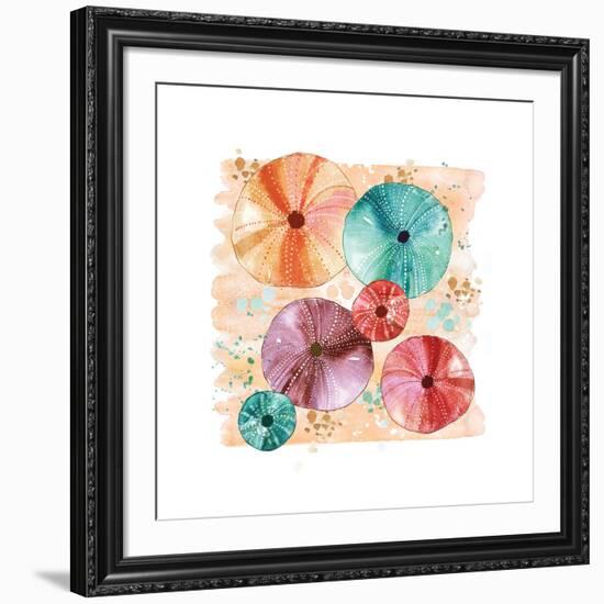 Beachcomber Sea Urchins-Sara Berrenson-Framed Art Print