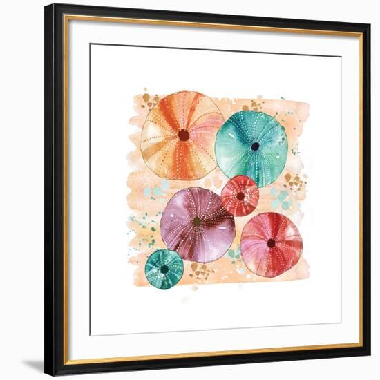 Beachcomber Sea Urchins-Sara Berrenson-Framed Art Print