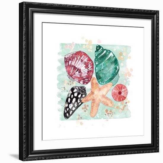 Beachcomber Shells-Sara Berrenson-Framed Art Print