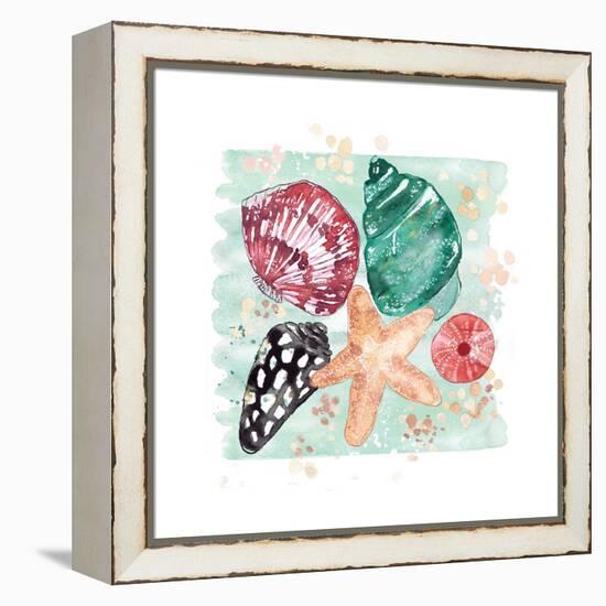 Beachcomber Shells-Sara Berrenson-Framed Stretched Canvas