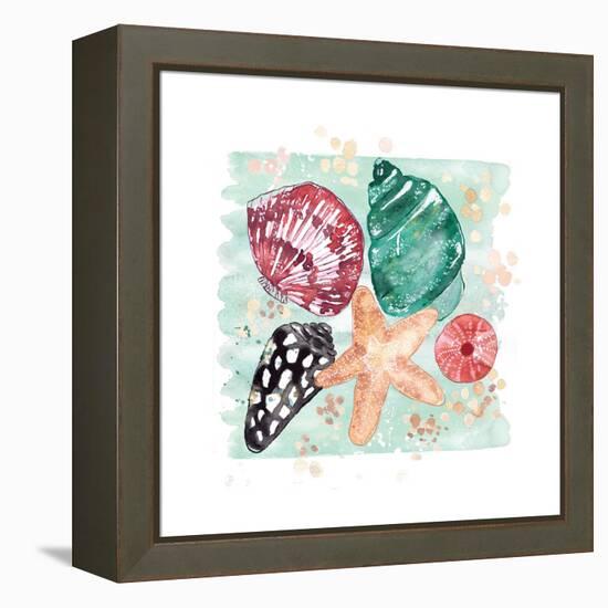 Beachcomber Shells-Sara Berrenson-Framed Stretched Canvas