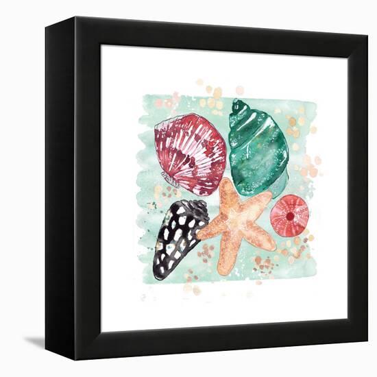 Beachcomber Shells-Sara Berrenson-Framed Stretched Canvas