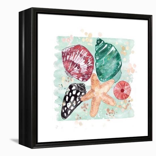 Beachcomber Shells-Sara Berrenson-Framed Stretched Canvas