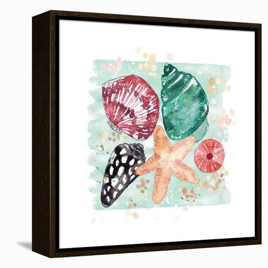 Beachcomber Shells-Sara Berrenson-Framed Stretched Canvas